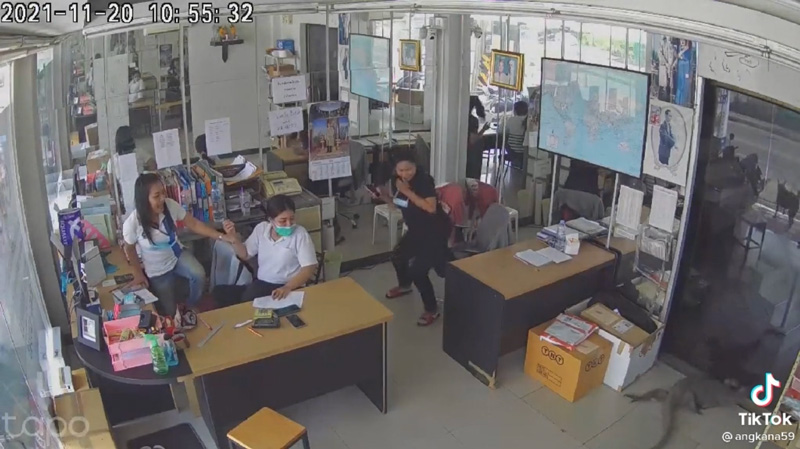 ตัวเงินตัวทอง