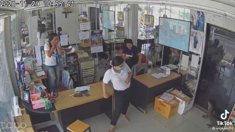 ตัวเงินตัวทอง