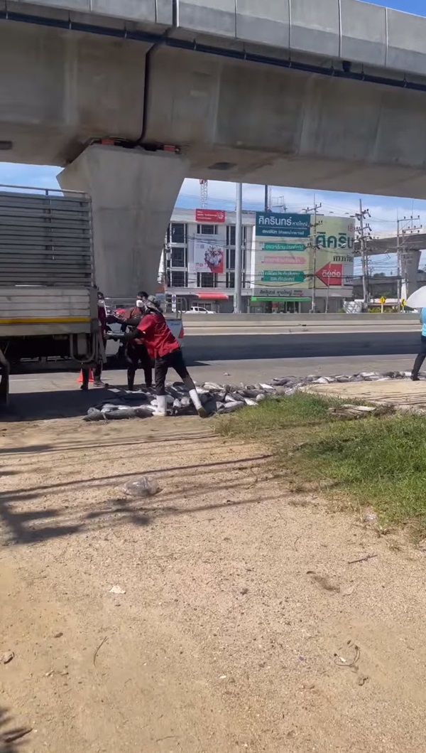 รถขนทูน่าคว่ำ