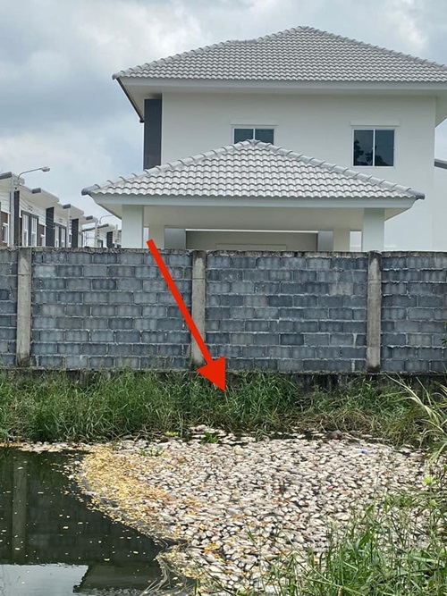 หมู่บ้านจัดสรรปล่อยน้ำเสีย