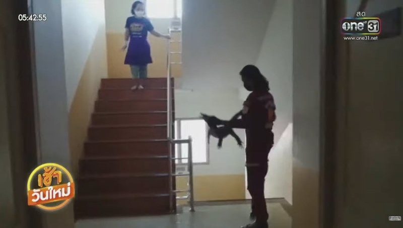 ตัวเงินตัวทองขึ้นหอพัก