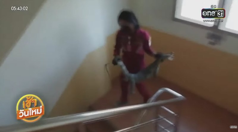 ตัวเงินตัวทองขึ้นหอพัก