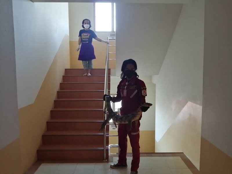 ตัวเงินตัวทองขึ้นหอพัก