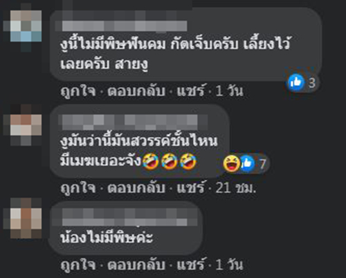 สั่งบอนสีแถมงู