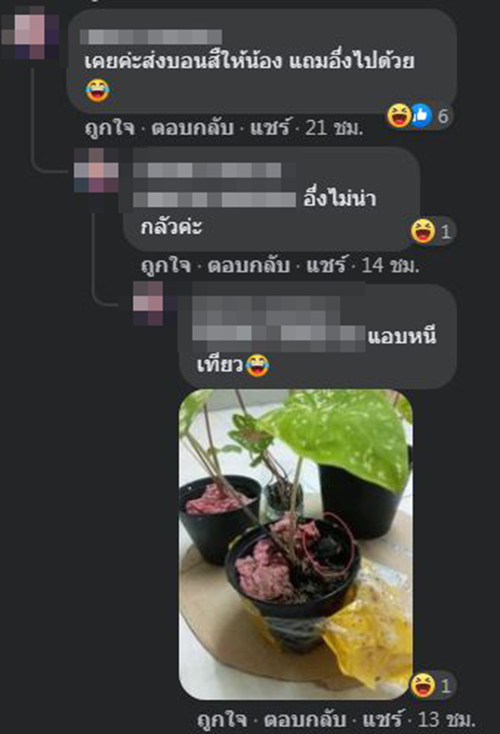 สั่งบอนสีแถมงู