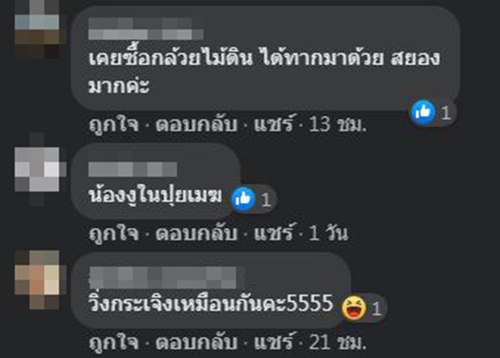 สั่งบอนสีแถมงู