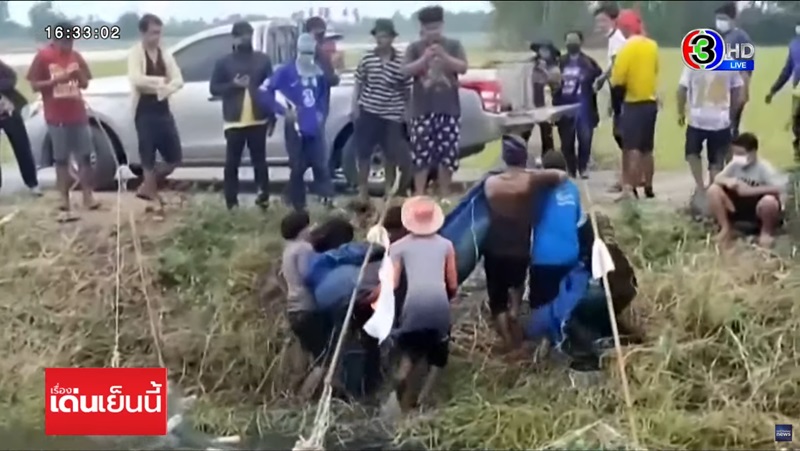 ปลาช่อนยักษ์