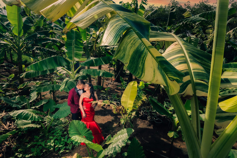 ดราม่าพรีเวดดิ้ง