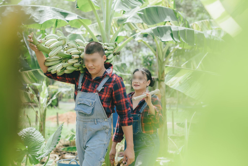 ดราม่าพรีเวดดิ้ง