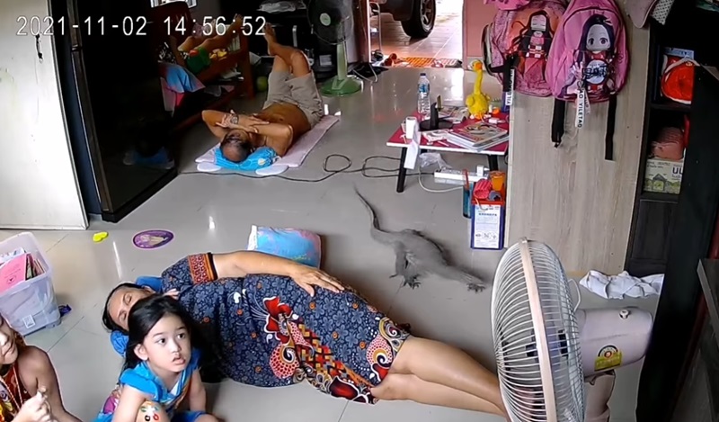 ตัวเงินตัวทองเข้าบ้าน