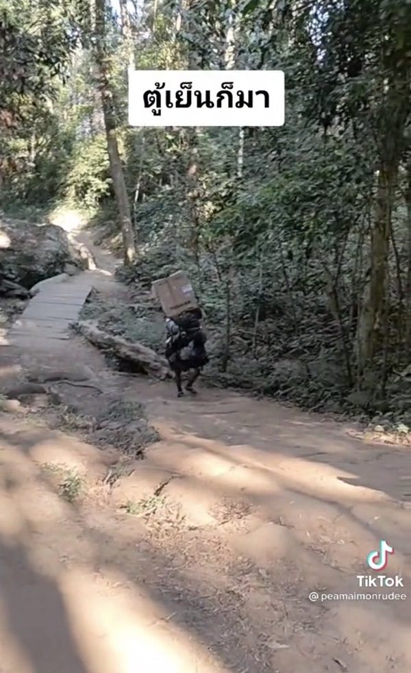 แบกตู้เย็นขึ้นภูกระดึง