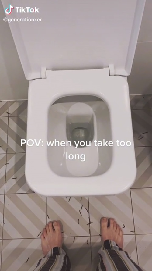 กิ้งกือ