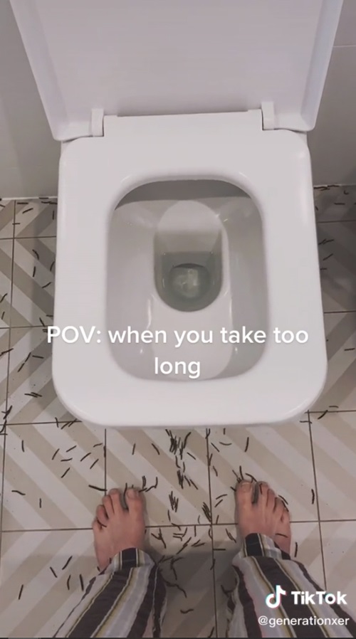 กิ้งกือ