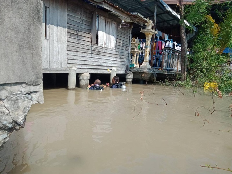 งมแผ่นทองคำจิ๋ว