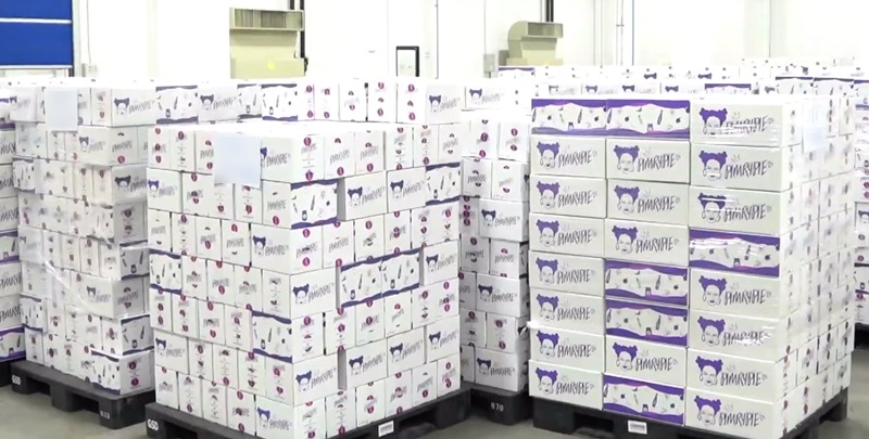 พิมรี่พาย