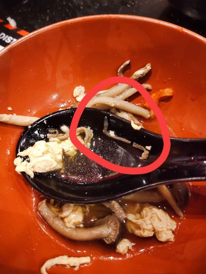 ไส้เดือนในชาบู