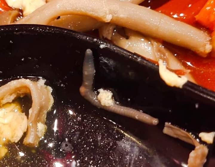 ไส้เดือนในชาบู