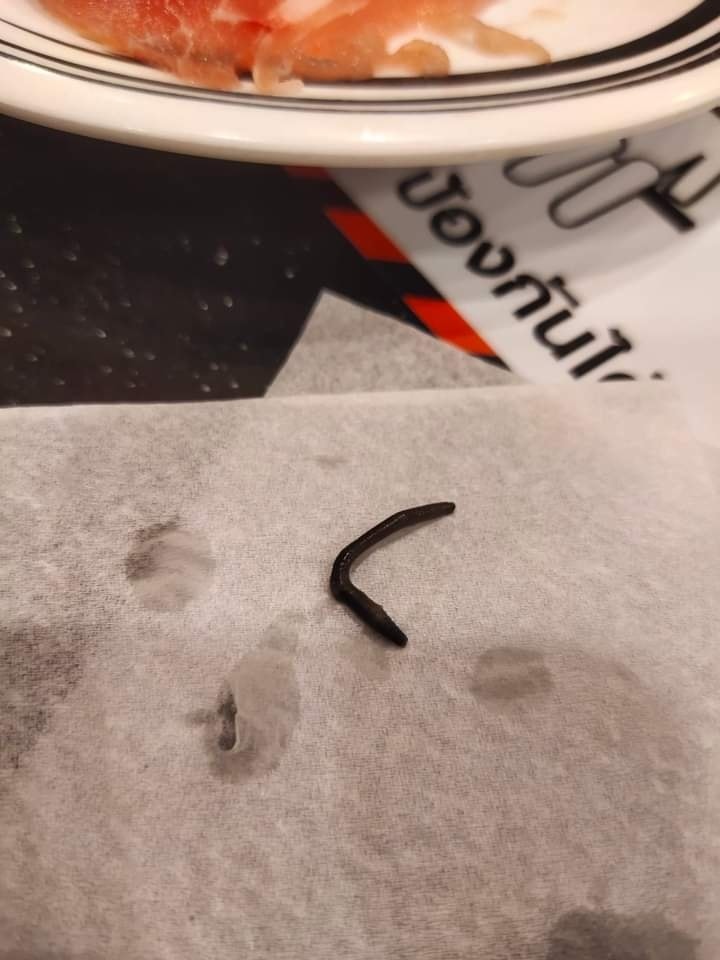 ไส้เดือนในชาบู