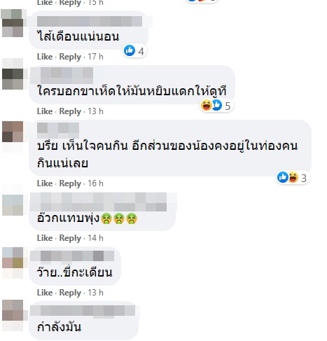 ไส้เดือนในชาบู