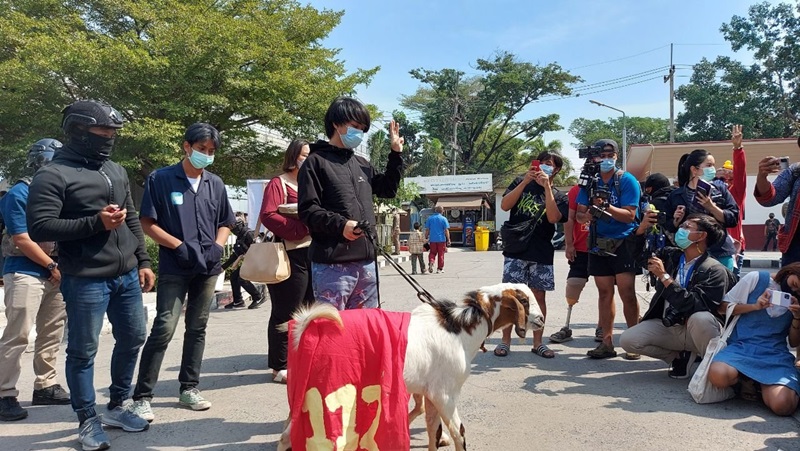 เดฟ ชยพล