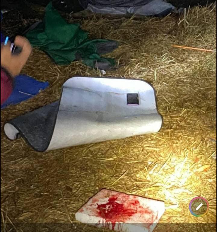 ช้างตกมัน