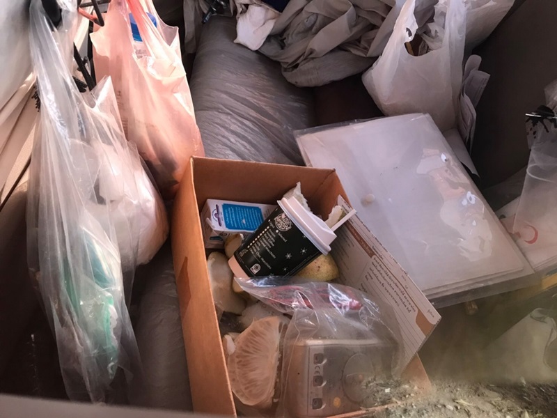 ช้างตกมัน