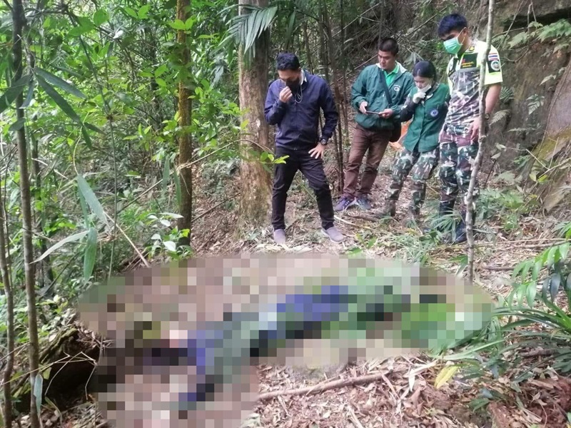 หนุ่มตกผาเดียวดาย