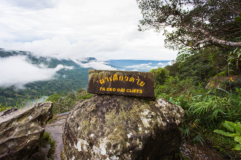 หนุ่มตกผาเดียวดาย