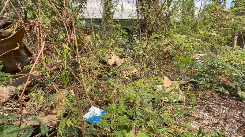 จุดมั่วเซ็กส์ จ.เชียงใหม่