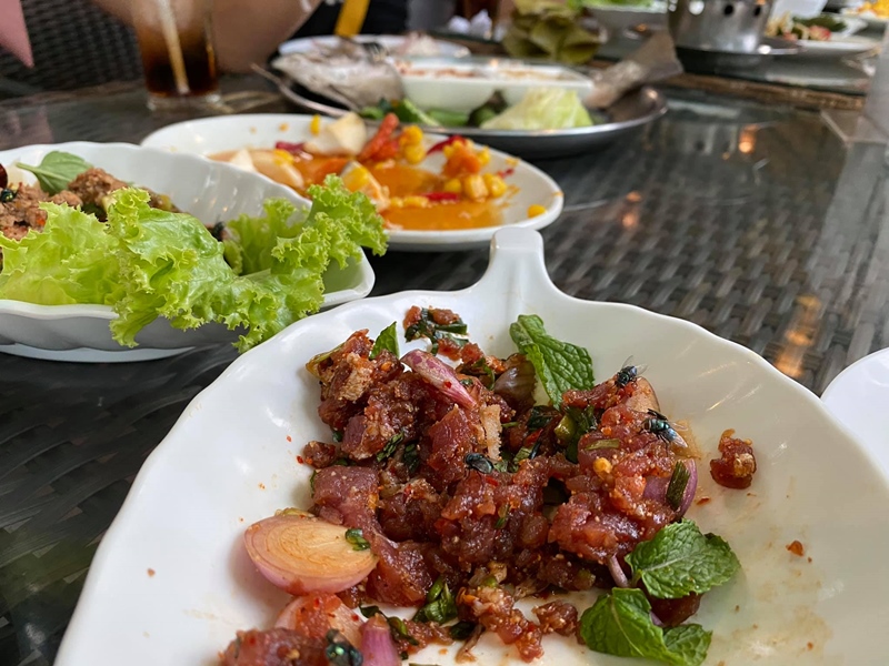 โวยร้านอาหารแมลงวันเยอะ