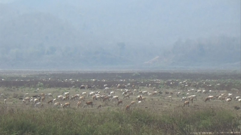 ทะเลสาบดอยเต่า