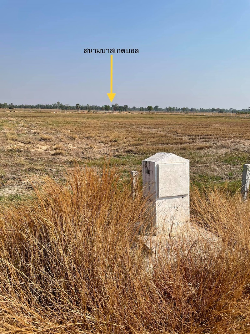 สนามกีฬากลางทุ่งนา