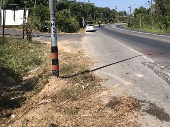 ปลาวาฬ อิสสระ รถชนเสาไฟฟ้า