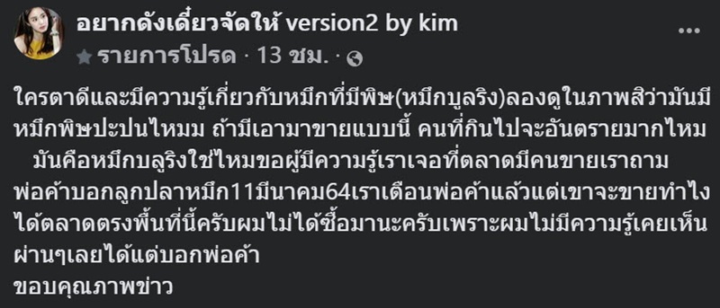 หมึกบลูริง