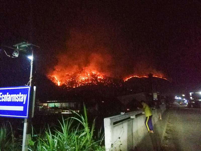 ไฟป่าเชียงใหม่