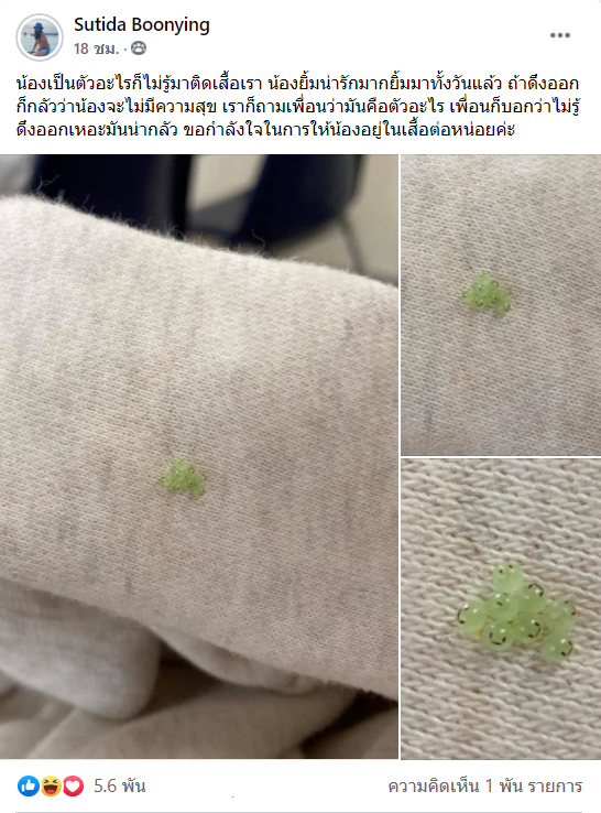 ไข่ยิ้ม คืออะไร