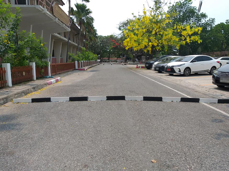 ลูกระนาดบนถนน