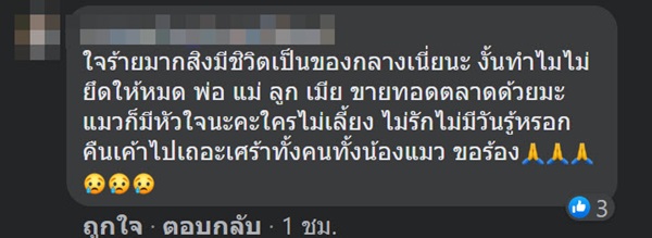 จับยาเสพติด ยึดแมว