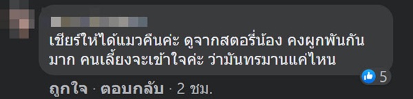 จับยาเสพติด ยึดแมว