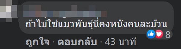 จับยาเสพติด ยึดแมว