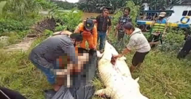 จระเข้กินเด็ก