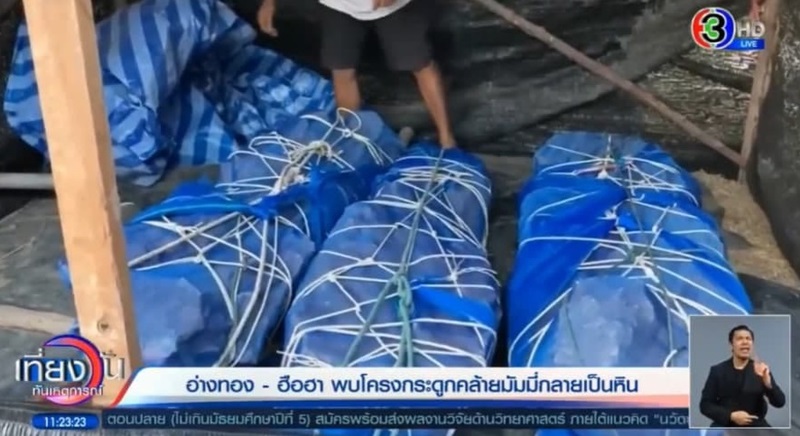 มัมมี่อ่างทอง