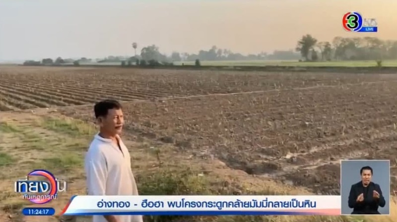 มัมมี่อ่างทอง