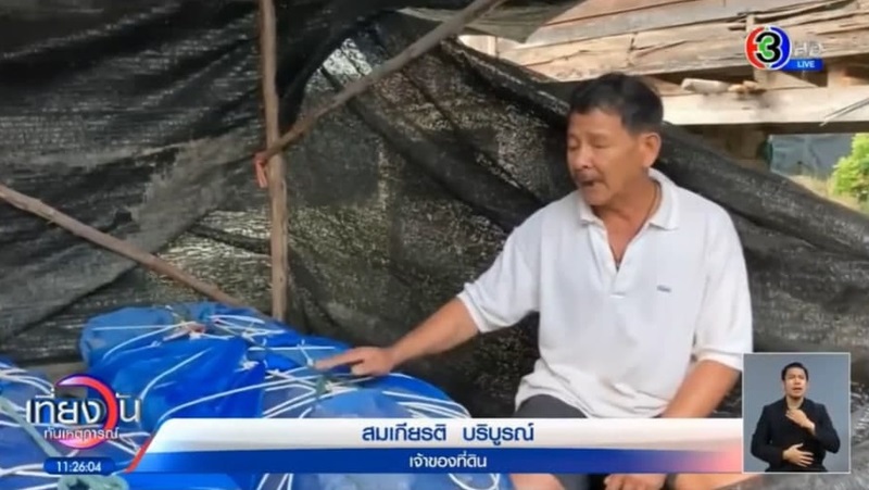 มัมมี่อ่างทอง