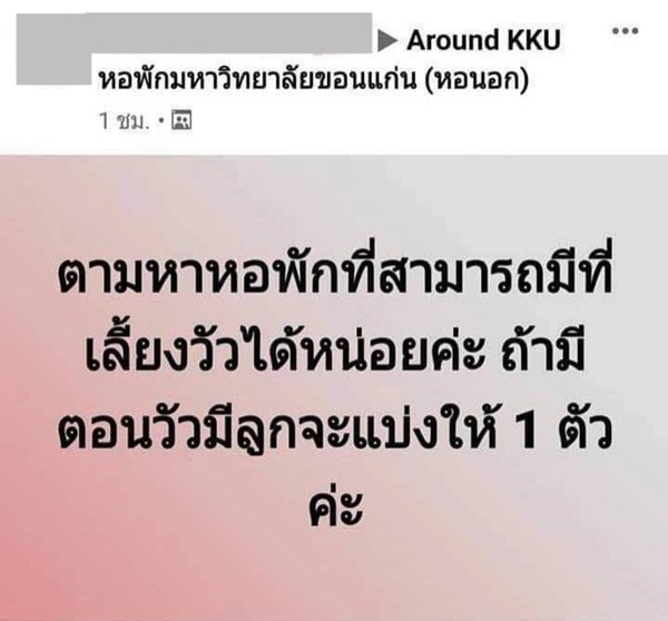 หาหอพักที่เลี้ยงวัวได้