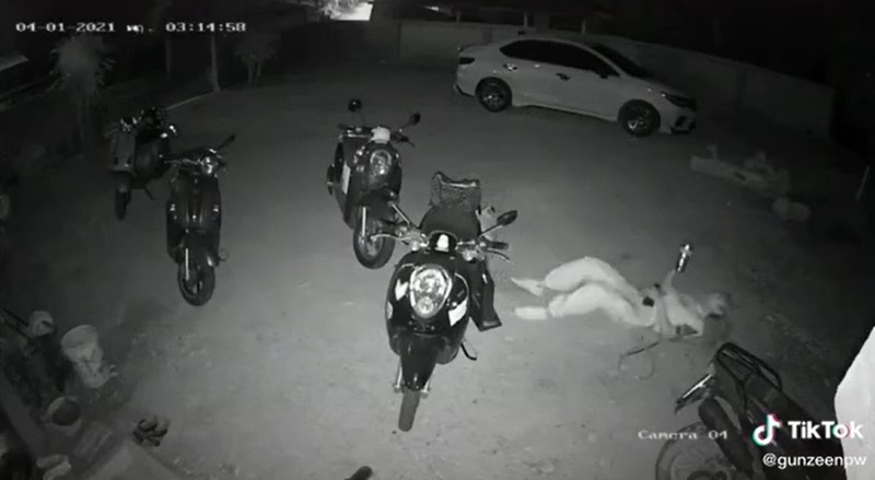 เตือนภัยสุขภาพ