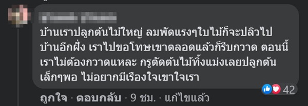 ปัญหาเพื่อนบ้าน