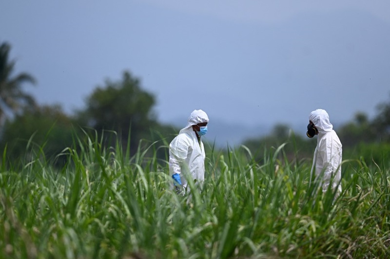ฆ่าฝัง 40 ศพลงหลุม