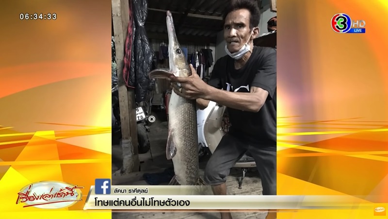 ปลาอัลลิเกเตอร์