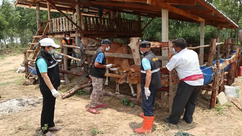 ลัมปีสกิน